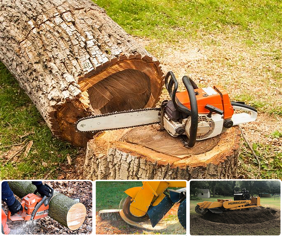 Tree Fellers